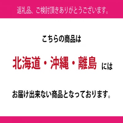 【定期便 全2回】シャインマスカット 晴王 1房 約750g 岡山県産 [No.5735-3250]