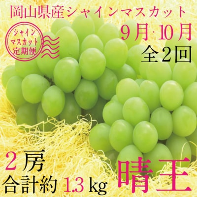 【2回定期便】シャインマスカット 晴王 2房 合計約1.3kg 岡山県産[No.5735-3251]