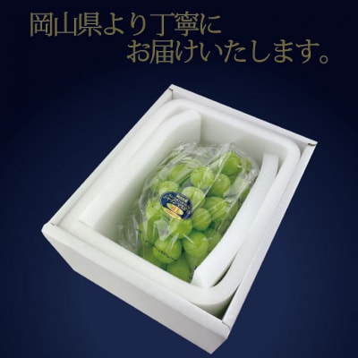 【2回定期便】高級品シャインマスカット 晴王 1房 約700g 岡山県産[No.5735-3253]