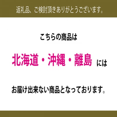 【2回定期便】高級品シャインマスカット晴王2房 計約1.2kg 岡山県産[No.5735-3254]