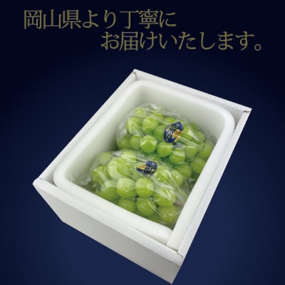 【2回定期便】高級品シャインマスカット晴王2房 計約1.2kg 岡山県産[No.5735-3254]