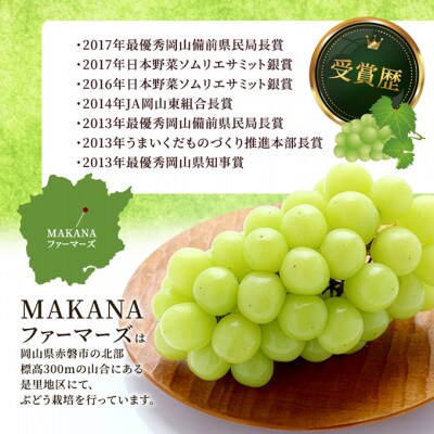 シャイン マスカット 2房(1房700～800g)大粒 種無し 岡山県産[No.5735-3590]