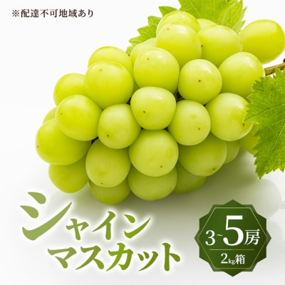 シャイン マスカット 2kg箱 (3～5房) 大粒 種無し  岡山県産 [No.5735-3592]