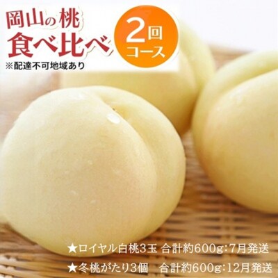晴れの国 岡山のフルーツ 2回定期便(ロイヤル白桃3玉/冬桃がたり3個)[No.5735-3574]