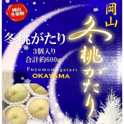 晴れの国 岡山のフルーツ 2回定期便(ロイヤル白桃3玉/冬桃がたり3個)[No.5735-3574]