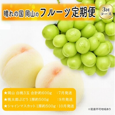 【先行受付】晴れの国 岡山 の フルーツ 定期便 3回 コース [No.5735-3576]