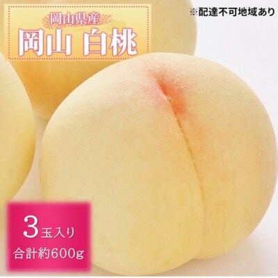 【先行受付】晴れの国 岡山 の フルーツ 定期便 3回 コース [No.5735-3576]