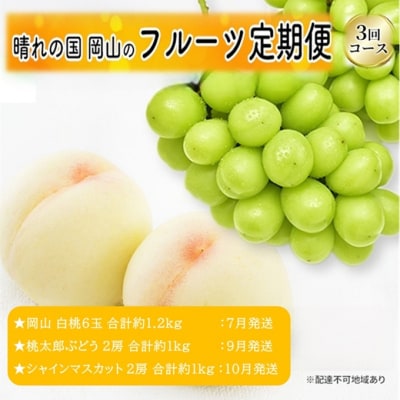 【先行受付】晴れの国 岡山 の フルーツ 定期便 3回 コース [No.5735-3577]