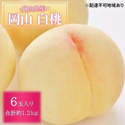 【先行受付】晴れの国 岡山 の フルーツ 定期便 3回 コース [No.5735-3577]