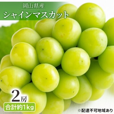 【先行受付】晴れの国 岡山 の フルーツ 定期便 3回 コース [No.5735-3577]