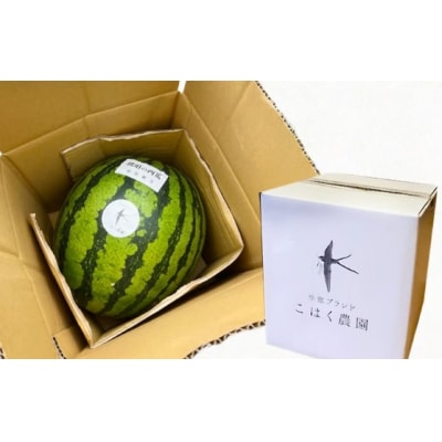 こはく農園 瀬戸内市牛窓産 琥珀の西瓜【金色羅皇】黄色 1玉 [No.5735-3536]