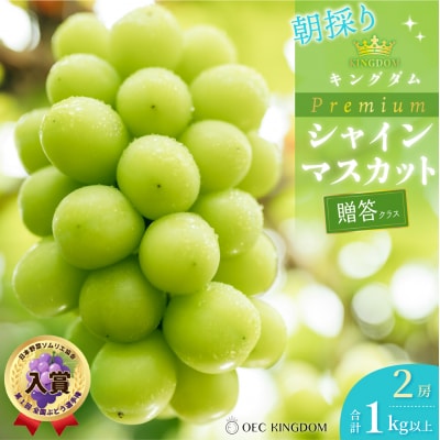  【先行受付】プレミアムシャインマスカット 2房(1kg以上)贈答クラス 岡山県産[21F7001]