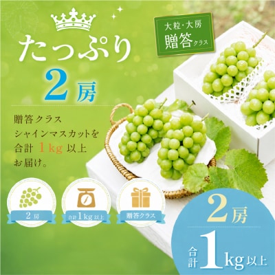  【先行受付】プレミアムシャインマスカット 2房(1kg以上)贈答クラス 岡山県産[21F7001]