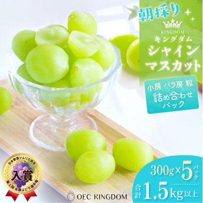  【先行受付】 シャインマスカット 300g×5パック(1.5kg以上) 岡山県産[21F7002]