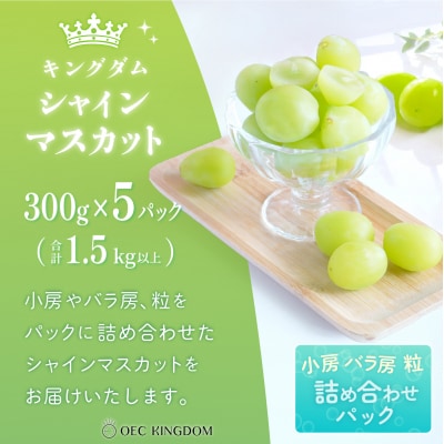  【先行受付】 シャインマスカット 300g×5パック(1.5kg以上) 岡山県産[21F7002]
