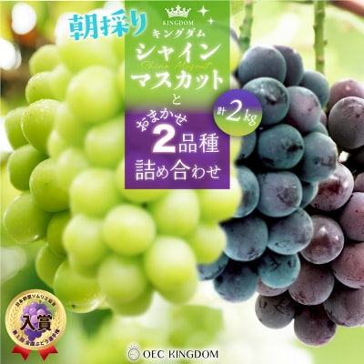  【先行受付】 シャインマスカット と おまかせ2品種詰合せ 合計2kg 岡山県産[21F7003]