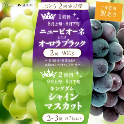 [ご家庭用]2回 定期便 ピオーネ オーロラブラック シャインマスカット 岡山県産[21F7004]