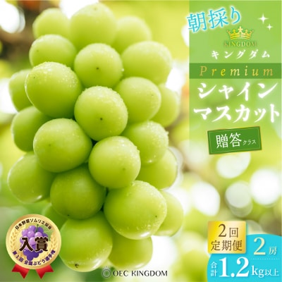 2回 定期便 プレミアム シャイン マスカット 2房 贈答クラス 岡山県産 [21F7007]