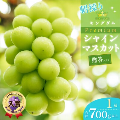 プレミアム シャイン マスカット 1房(700g以上) 贈答クラス 岡山県産 [21F7008]
