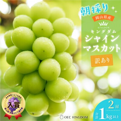  【先行受付】 [ご家庭用] シャイン マスカット 2房(合計1kg以上)岡山県産[21F7010]