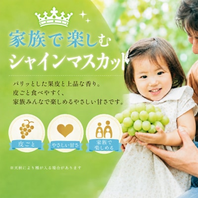  【先行受付】 [ご家庭用] シャイン マスカット 2房(合計1kg以上)岡山県産[21F7010]