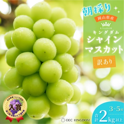  【先行受付】[ご家庭用] シャイン マスカット3～5房(合計2kg以上)岡山県産[21F7011]