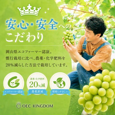  【先行受付】[ご家庭用] シャイン マスカット3～5房(合計2kg以上)岡山県産[21F7011]