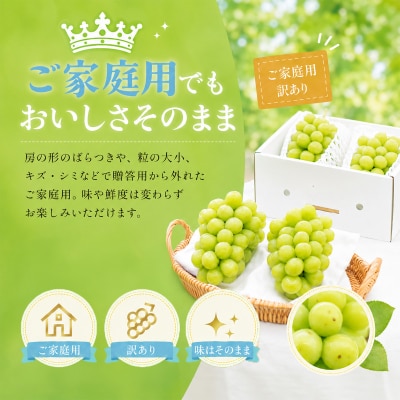  【先行受付】[ご家庭用] シャイン マスカット3～5房(合計2kg以上)岡山県産[21F7011]