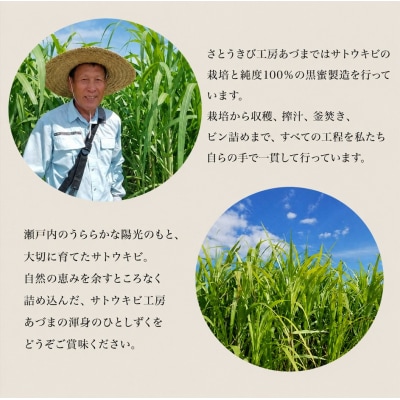 竹糖(145ml)2本セット さとうきび  岡山 瀬戸内市産 [2194002]