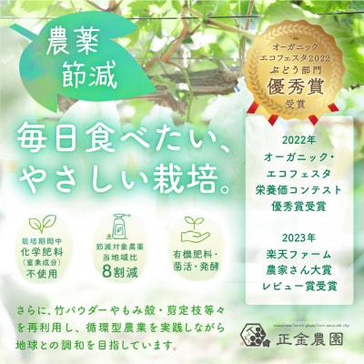 シャイン マスカット 粒タイプ 270g×4パック  岡山県産  正金農園  [2171001]