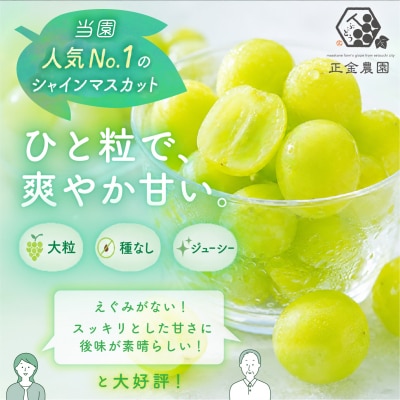 シャイン マスカット 粒タイプ 270g×2パック 岡山県産  正金農園 [2171002]