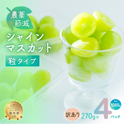 シャイン マスカット 粒タイプ 訳あり 270g×4パック 岡山県産  正金農園 [2171003]