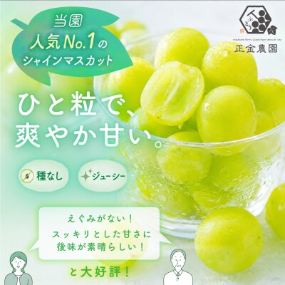 シャイン マスカット 粒タイプ 訳あり 270g×4パック 岡山県産  正金農園 [2171003]