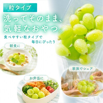 シャイン マスカット 粒タイプ 訳あり 270g×4パック 岡山県産  正金農園 [2171003]