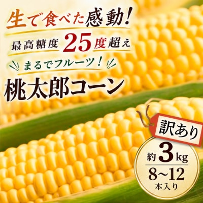  最高糖度25度超え瀬戸内市牛窓産 とうもろこし 訳あり 桃太郎コーン 約3kg [2157005] | ふるさと納税のお礼品