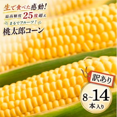  訳あり 最高糖度25度超え! 牛窓産 黄色 とうもろこし「桃太郎コーン」約3kg[2157005]