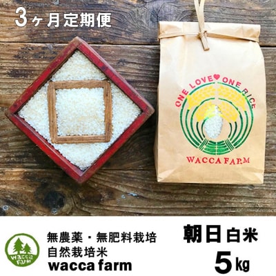 定期便3ヶ月 瀬戸内自然栽培米 令和8年産「朝日」白米 5kg  [57351415]