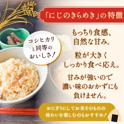 【先行受付】令和8年産 にじのきらめき 玄米 20kg 新米 大容量 長期保存可能[21G4009]