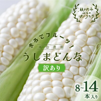 訳あり 生で甘い、茹でて美味い! 牛窓産白色とうもろこし 「うしまどんな」約3kg[2157007]