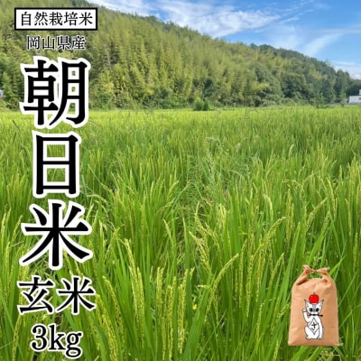 新米 【先行受付】 令和8年産 瀬戸内 自然栽培米 「朝日」玄米 3kg [21G3010]