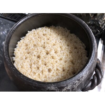 新米 【先行受付】 令和8年産 瀬戸内 自然栽培米 「朝日」玄米 3kg [21G3010]