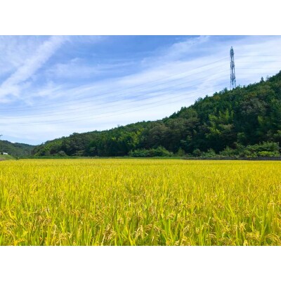 新米 【先行受付】 令和8年産 瀬戸内 自然栽培米 「朝日」玄米 3kg [21G3010]