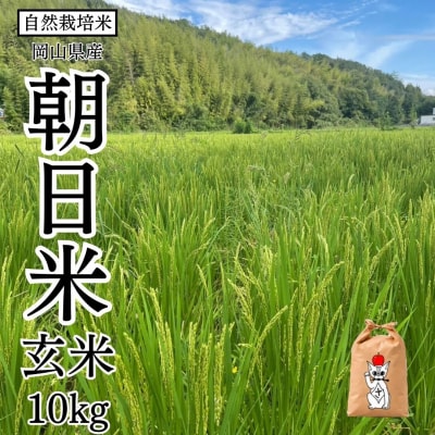 新米 【先行受付】 令和8年産 瀬戸内 自然栽培米 「朝日」玄米 10kg [21G3016]