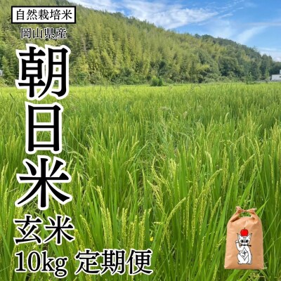 【先行受付】隔月定期便6ヵ月 令和8年産 瀬戸内自然栽培米「朝日」玄米10kg[21G3017]