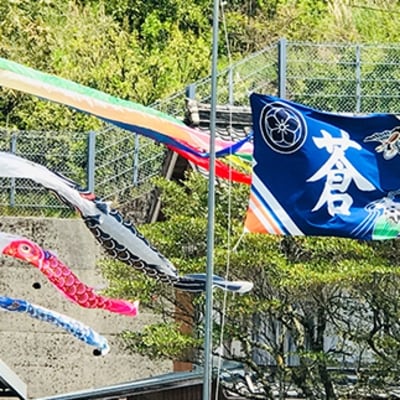 鮮やかな高知の伝統工芸 【鯉と金太郎フラフ(祝い旗)】R5-027