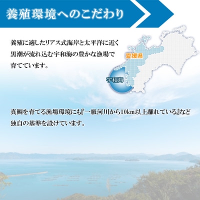 真鯛の姿焼き