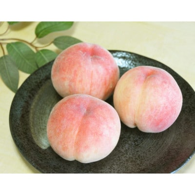 もも 約2kg 約5～7玉(あかつき、なつっこ、黄金桃のおまかせ)