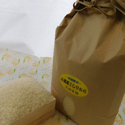【令和3年産】つきたて米　小諸産こしひかり 10kg