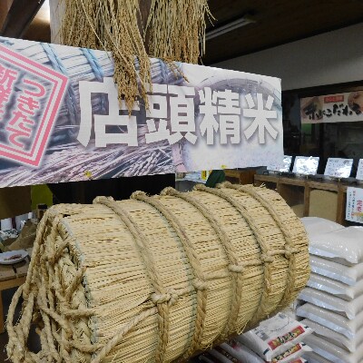 【令和3年産】つきたて米　小諸産こしひかり 10kg