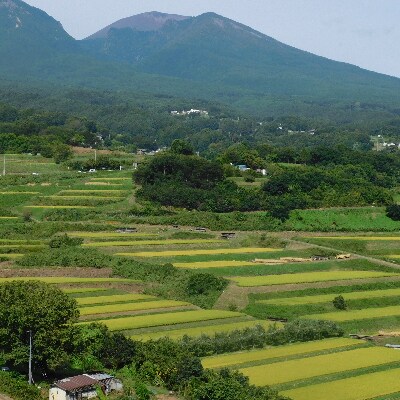 【令和3年産】つきたて米　小諸産こしひかり 20kg(10kg×2袋)